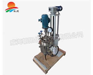 2L常規(guī)加氫設備